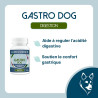 Gastro Dog : Digestion & Ulcères - Soin Naturel Chien